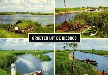 Groeten uit De Biesbos - 4 afb - 1964 gelopen beschikbaar voor biedingen