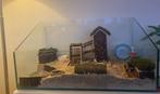 Hamsterhok/ hamsterscaping, Dieren en Toebehoren, Ophalen, Overige typen