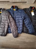 Pjs zomerjassen in diverse maten en 3 kleuren, Nieuw, Jongen, Parajumpers, Ophalen of Verzenden