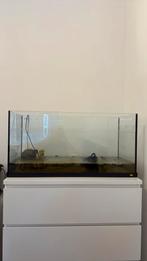 Aquarium / terrarium Juwel 80cm, Ophalen, Zo goed als nieuw, Leeg aquarium
