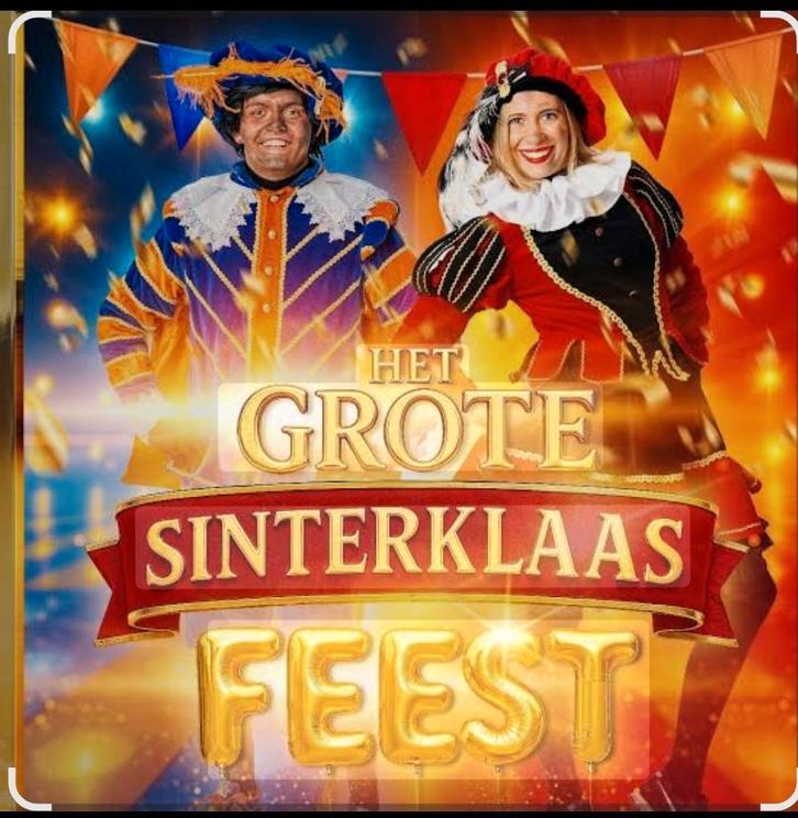 Te koop 4kaarten voor het uitverkochte Sinterklaasfeest, Tickets en Kaartjes, Evenementen en Festivals, Drie personen of meer