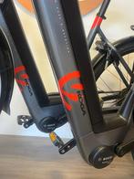Set Koga E-Nova Evo E-Bike | Bosch | 625Wh | Riemaandrijving, Zo goed als nieuw, 51 tot 55 cm, 50 km per accu of meer, Ophalen