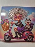 Diamond painting kaart dame in scootmobiel (3), Ophalen of Verzenden, Nieuw, Overige thema's