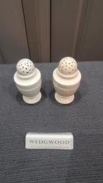 Wedgwood Edme zeer unieke zout of pepervaatjes, Ophalen of Verzenden