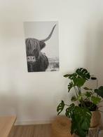 Schotse hooglander op Canvas, Huis en Inrichting, Woonaccessoires | Schilderijen, Tekeningen en Foto's, Ophalen, Zo goed als nieuw
