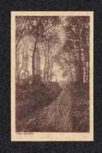 Gieten Drenthe Aan de rand van den Esch, Molen., Verzamelen, Ansichtkaarten | Nederland, Ophalen of Verzenden, 1920 tot 1940, Ongelopen