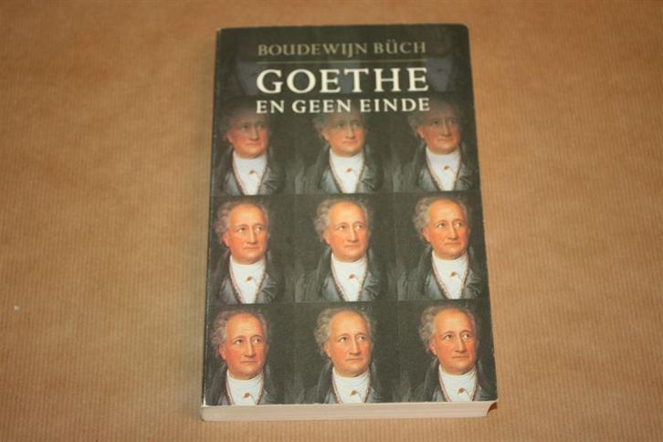 Goethe en geen einde. Boudewijn Büch., Boeken, Literatuur, Gelezen, Ophalen of Verzenden