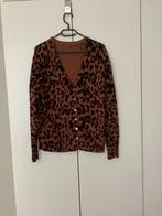 Mooi vestje , kleur roestbruin en zwart.Maat 42 ., Kleding | Dames, Truien en Vesten, Bruin, Maat 42/44 (L), Ophalen of Verzenden