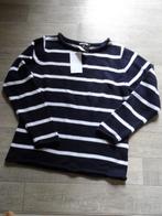 cassani  trui nieuw met kaartje, Kleding | Dames, Nieuw, Cassani, Maat 36 (S), Verzenden