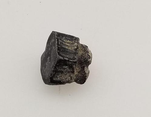 Haaientand (rog ) Boven-Krijt, Verzamelen, Mineralen en Fossielen, Fossiel, Ophalen of Verzenden