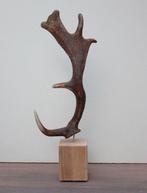 DAMHERT GEWEI op houten sokkel - ref. F