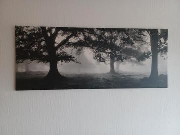Canvas Bomen (zwart/wit) beschikbaar voor biedingen