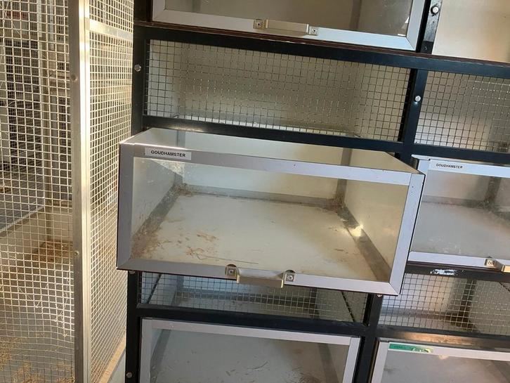 Mooie stellingkast, Dieren en Toebehoren, Knaagdieren en Konijnen | Hokken en Kooien, Zo goed als nieuw, Hok, Minder dan 60 cm