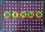 Gezelschapspellen Bingo, Ophalen of Verzenden