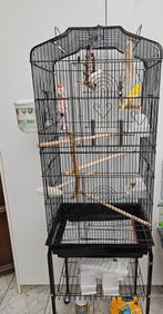 2 kanaries man/vrouw & kooi op wietltjes & nog een kooi, Dieren en Toebehoren, Vogels | Hokken en Kooien, Ophalen, Zo goed als nieuw