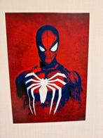 Spiderman Magnetische Stalen Poster, Ophalen of Verzenden, Zo goed als nieuw, Metaal of Aluminium, Minder dan 50 cm