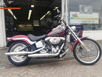 HARLEY-DAVIDSON SOFTAIL CUSTOM FXSTC (bj 2007)