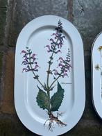 Vintage Botanische Borden Set, Antiek en Kunst, Ophalen