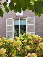 Oude Franse Louvre Luiken - Gebroken Wit, Ophalen, Gebruikt, Overige typen, 215 cm of meer