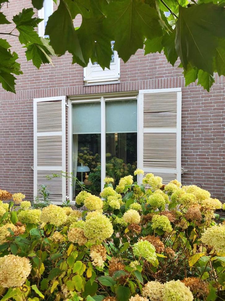 Oude Franse Louvre Luiken - Gebroken Wit, Doe-het-zelf en Verbouw, Deuren en Horren, Gebruikt, Overige typen, 215 cm of meer, Ophalen