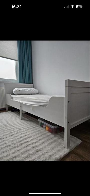 Mee groei bed beschikbaar voor biedingen