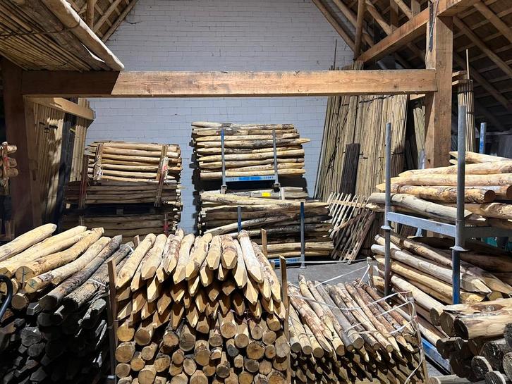 Kastanje palen afrastering schutting natuurlijk hout, Tuin en Terras, Palen, Balken en Planken, Nieuw, Palen, 250 cm of meer, Ophalen of Verzenden