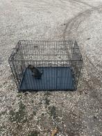 Mooie honde bens 2 stuks perstuk 30 €, Dieren en Toebehoren, Ophalen, Zo goed als nieuw, 110 cm of meer, Minder dan 65 cm