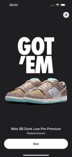 Nike SB Dunk “Big Money Savings” maat 42, Ophalen of Verzenden, Bruin, Zo goed als nieuw, Sneakers of Gympen