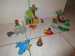 Duplo jungle, Duplo, Gebruikt, Ophalen of Verzenden