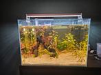 Leeg aquarium met toebehoren, Dieren en Toebehoren, Vissen | Aquaria en Toebehoren, Ophalen of Verzenden, Zo goed als nieuw, Leeg aquarium