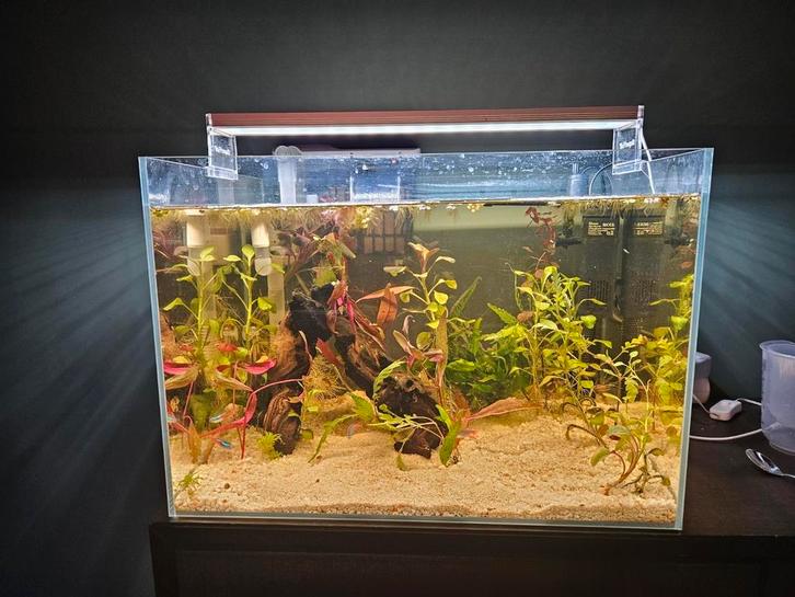 Leeg aquarium met toebehoren, Dieren en Toebehoren, Vissen | Aquaria en Toebehoren, Zo goed als nieuw, Leeg aquarium, Ophalen of Verzenden