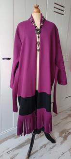 Prachtige aparte tussenjas, Kleding | Dames, Jassen | Winter, Ophalen of Verzenden, Nieuw, Zwart