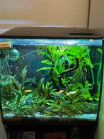 Fluval flex 57liter aquarium, Dieren en Toebehoren, Ophalen, Zo goed als nieuw