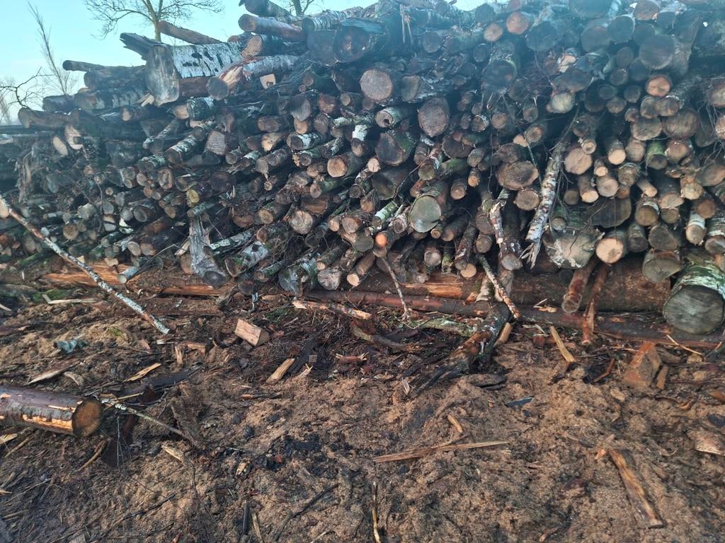 Mooie drogen berkenstammetjes droog, Tuin en Terras, Haardhout, Stammen, Berkenhout, 6 m³ of meer, Ophalen