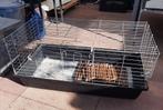 Cavia kooi, Kooi, Gebruikt, 75 tot 110 cm, Cavia