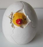 beeldje van een kuiken dat uit het ei komt, Ophalen of Verzenden, Zo goed als nieuw, Dier