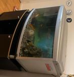 Aquarium inclusief kast, Dieren en Toebehoren, Vissen | Aquaria en Toebehoren, Ophalen, Gebruikt, Leeg aquarium