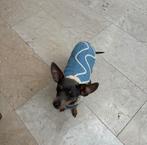 Warm trui voor klein hond, Dieren en Toebehoren, Ophalen of Verzenden, Nieuw, Hondenjas