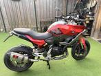 BMW F900XR F900 XR 2021, 2 cilinders, Motorrijbewijs A, Handvatverwarming, 900 cc