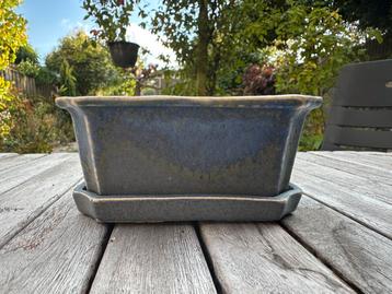 Blauw bonsaipotje met onderschaal keramiek beschikbaar voor biedingen