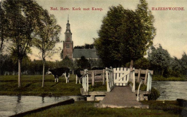Ned. Herv. Kerk met Kamp.- Hazerswoude. - koeien - beschreve, Verzamelen, Ansichtkaarten | Nederland, Ongelopen, Drenthe, Voor 1920