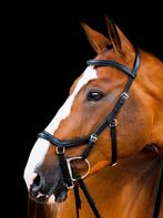 Rambo Micklem 2 Deluxe Competition Bridle, Cob, Full, X-Full, Ophalen of Verzenden, Nieuw, Dressuur