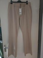 Nieuw & co woman andcowoman and cowoman xxl flairbeige, Kleding | Dames, Broeken en Pantalons, Beige, Maat 46/48 (XL) of groter