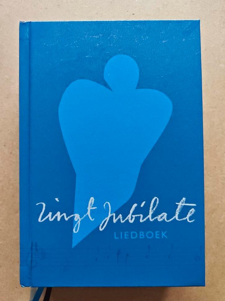 Zingt Jubilate Liedboek - Averbode, Boeken, Godsdienst en Theologie, Zo goed als nieuw, Christendom | Katholiek, Ophalen of Verzenden