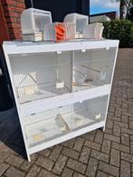 Broedkooi, Dieren en Toebehoren, Ophalen, Zo goed als nieuw, Hout, Broedkooi of Kweekkooi