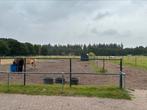 Stal aangeboden in Breda aan het Mastbos, Weidegang