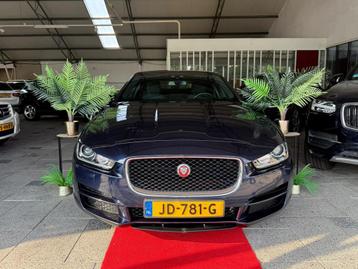 Jaguar XE 2.0 D AUTOMAAT PORTFOLIO! 2016 beschikbaar voor biedingen