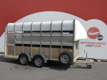 Ifor-Williams Veetrailer tandemas 427x178x213cm 3500kg beschikbaar voor biedingen