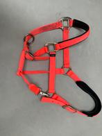 Halster van shire oranje, Ophalen of Verzenden, Zo goed als nieuw, Overige soorten