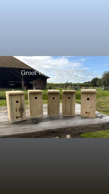 Vogelhuisjes beschikbaar voor biedingen